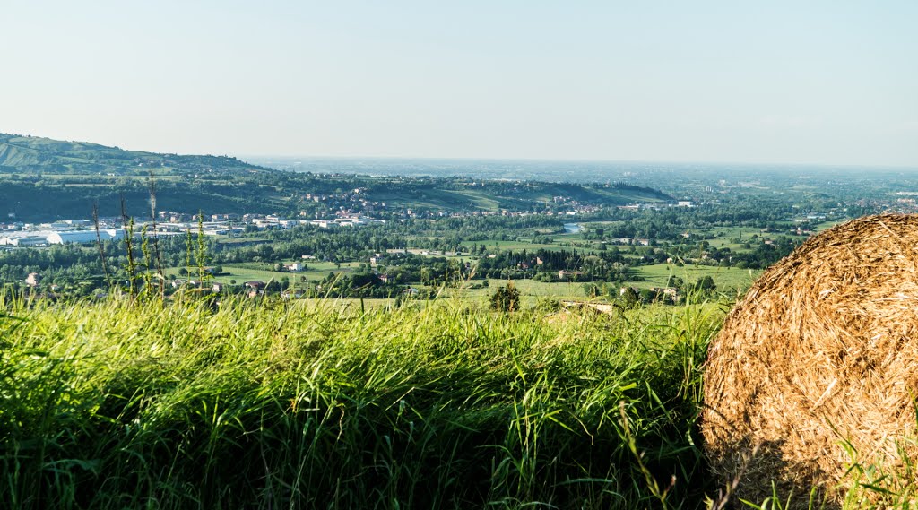 Sassuolo - valle del secchia by stefano damodena