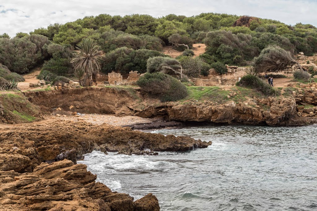 Tipasa sea view by baker abu naim