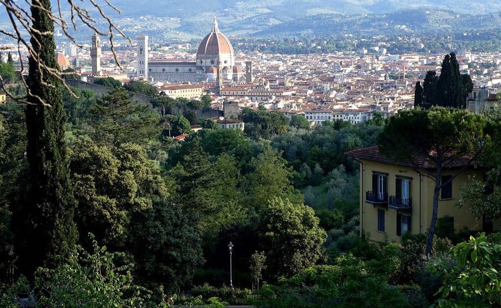 Florence, Italy by cohensharli