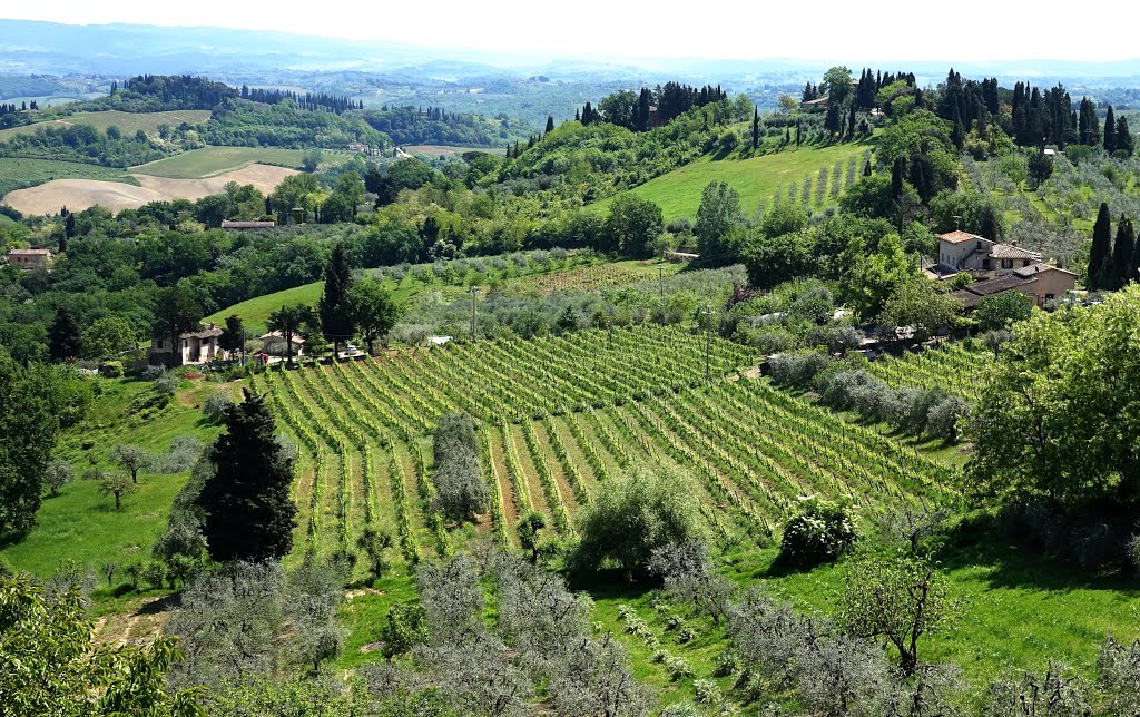 San Gimignano, Province of Siena, Italy by cohensharli