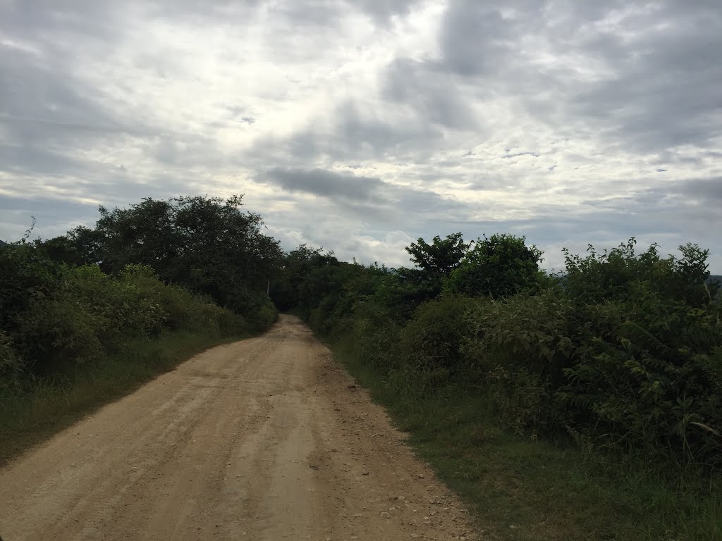 Piedras, Tolima, Colombia by Santiago Pinzón Delg…