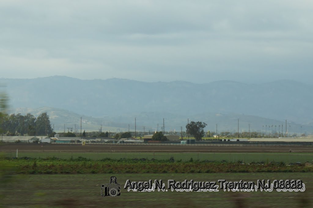 Nyeland Acres, Oxnard, CA, USA by Angel N Rodriguez