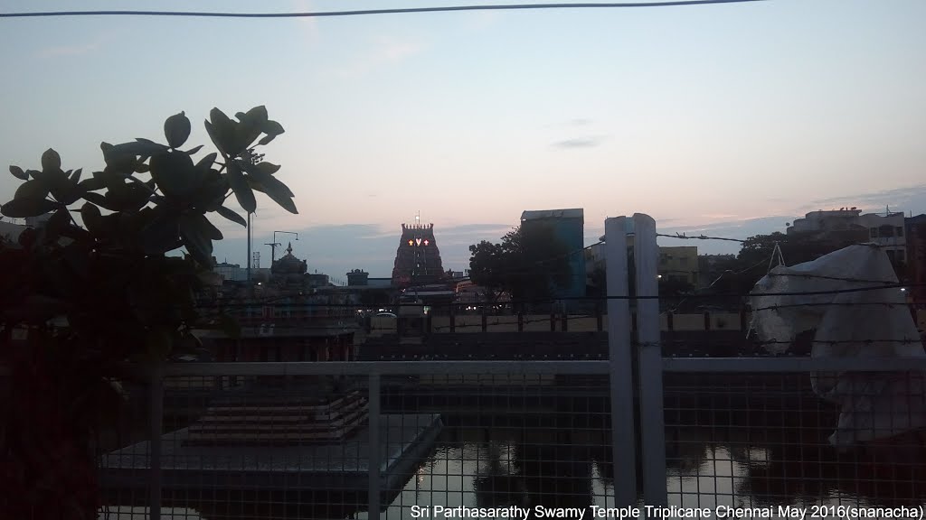 Sri Parthasarathy Swamy Temple Triplicane Chenna by snanacha