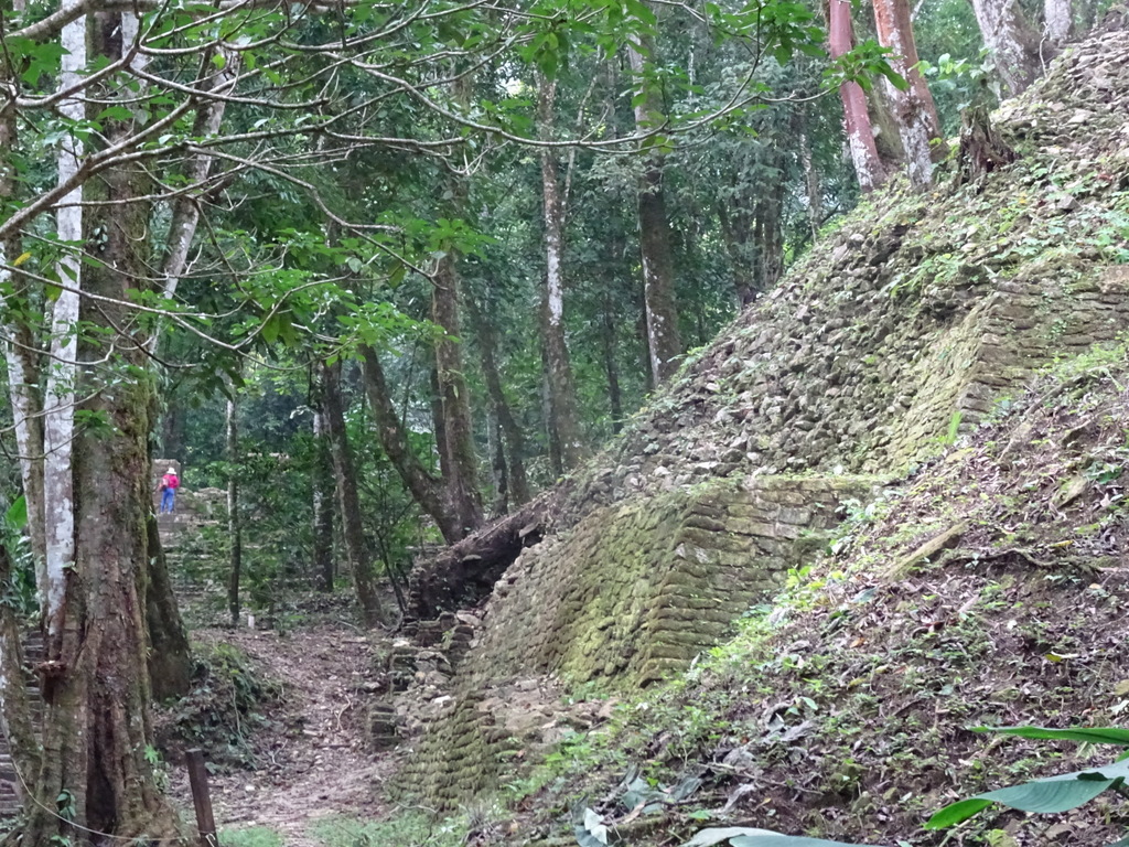 Temple XXI at Palenque by Warwick Sellens