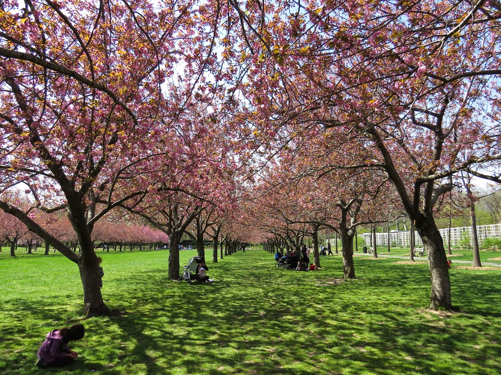 Prospect Park Botanical Garden by Zalmen Rosenfeld