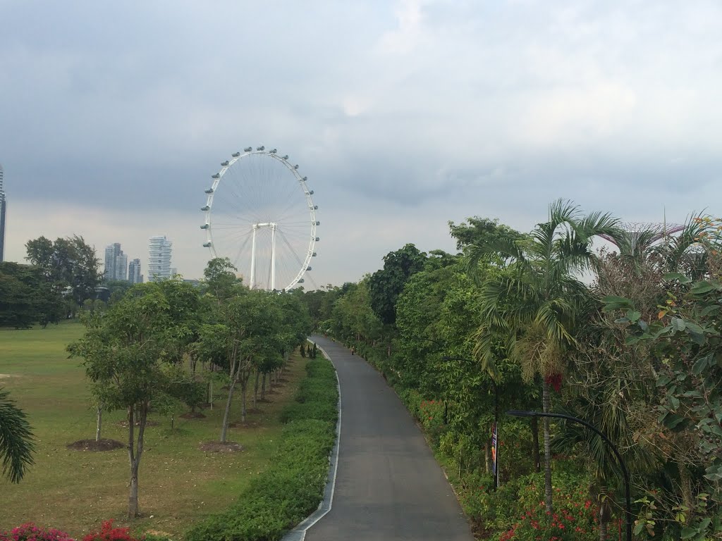 Singapore by Hoang Viet Quan