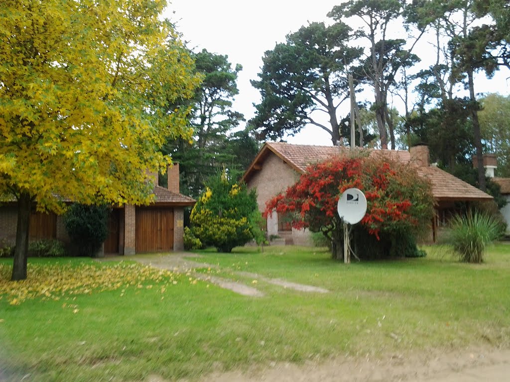 Pinamar, Buenos Aires Province, Argentina by La Cuca Suarez