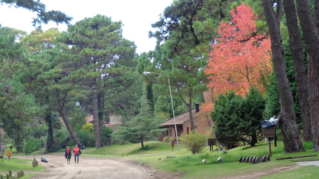 Pinamar, Buenos Aires Province, Argentina by La Cuca Suarez