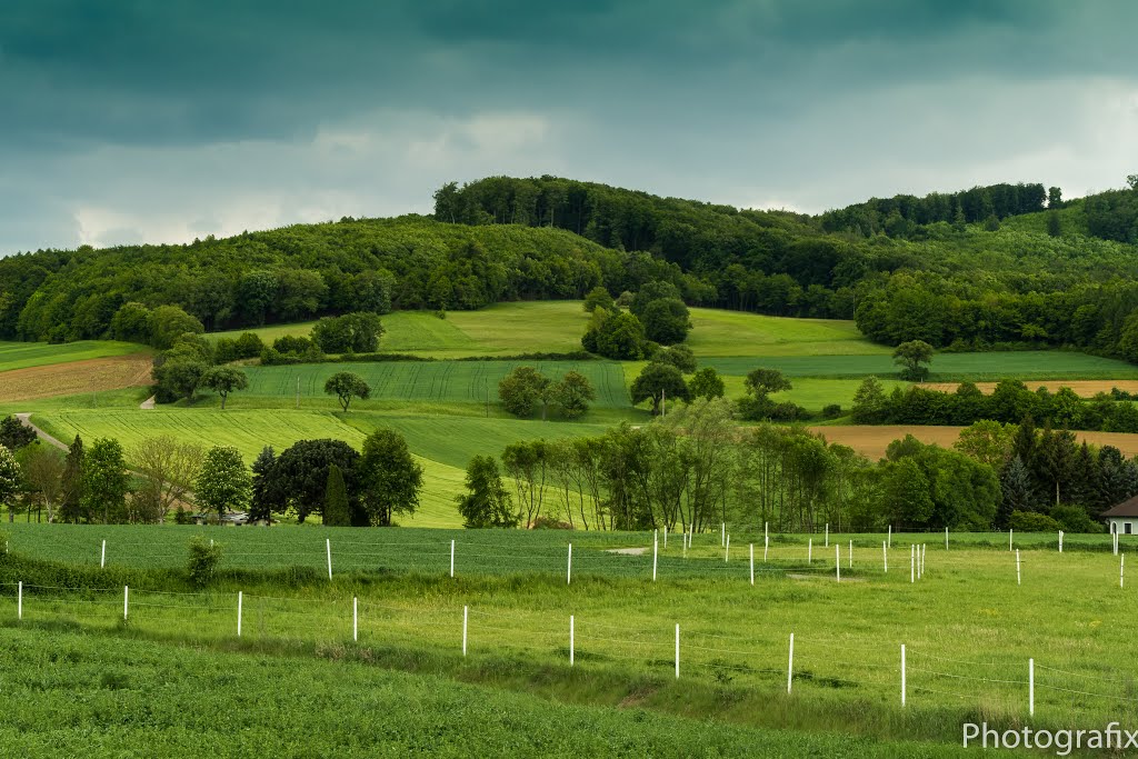 Elsbach, Austria by Gerhard Poehacker