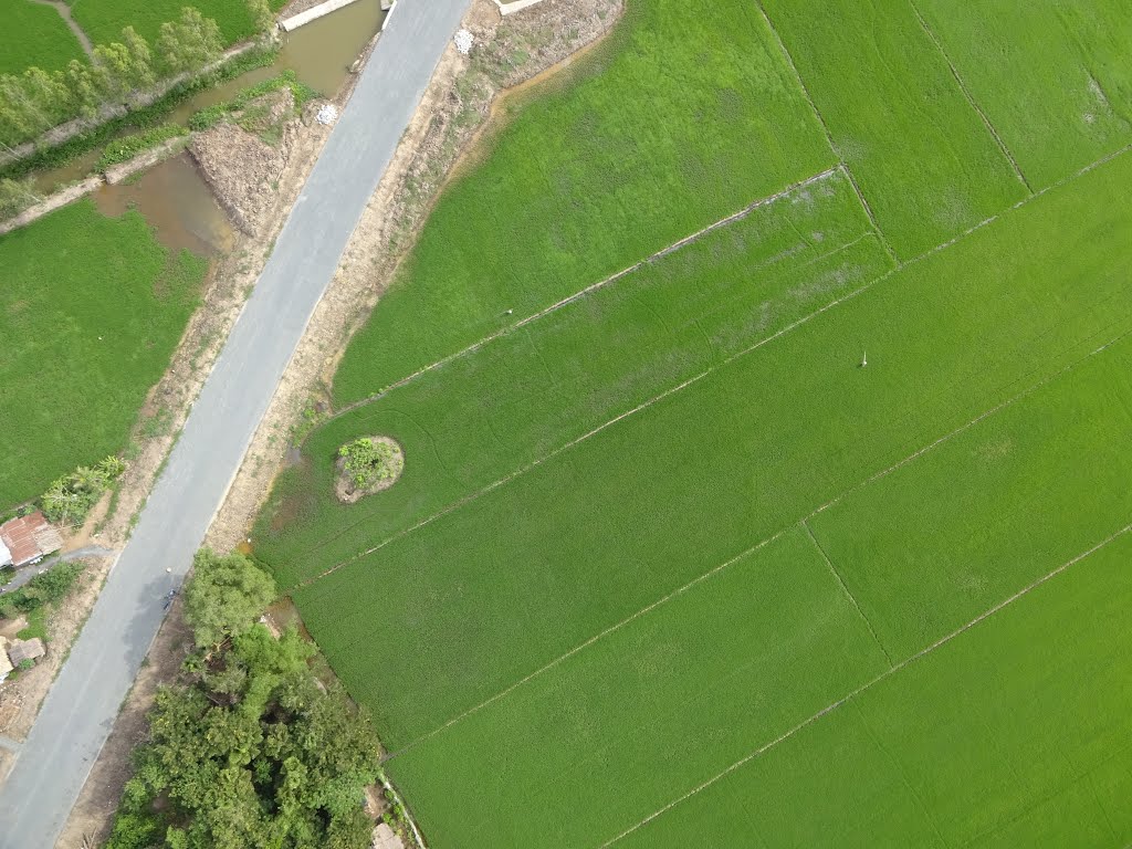 Long Mỹ, Hậu Giang, Vietnam by Dao Tam