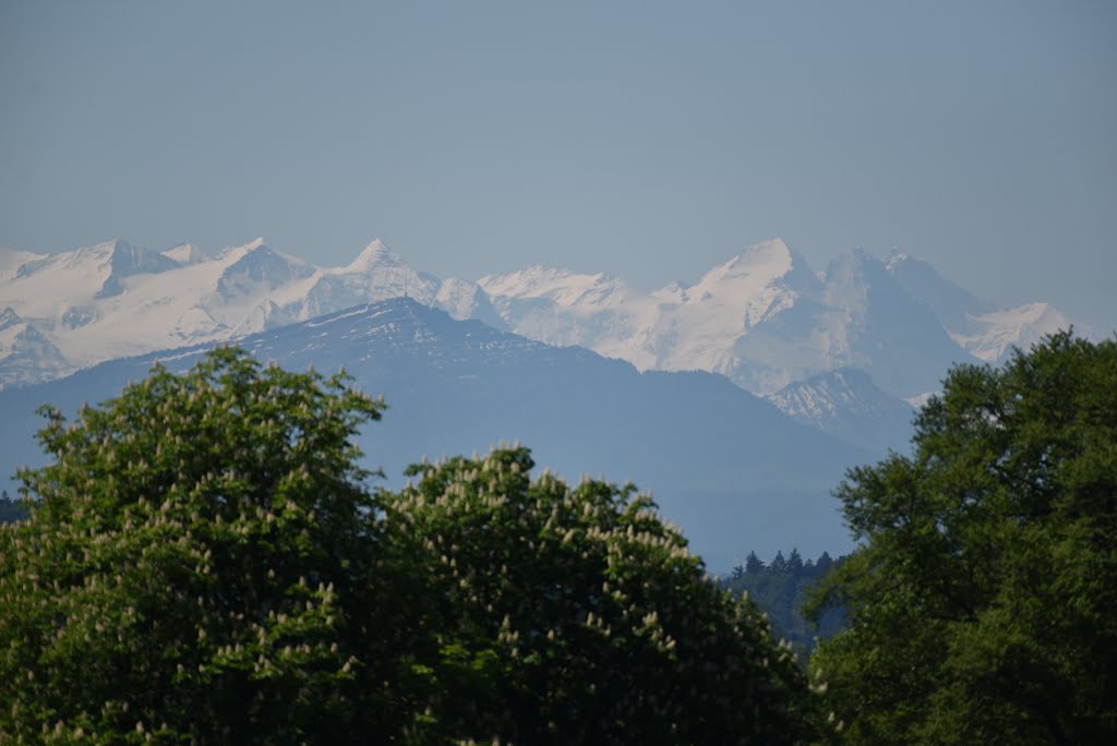 RIGI , rechts ,Mönch , Eiger , Jungfrau by martinzuber