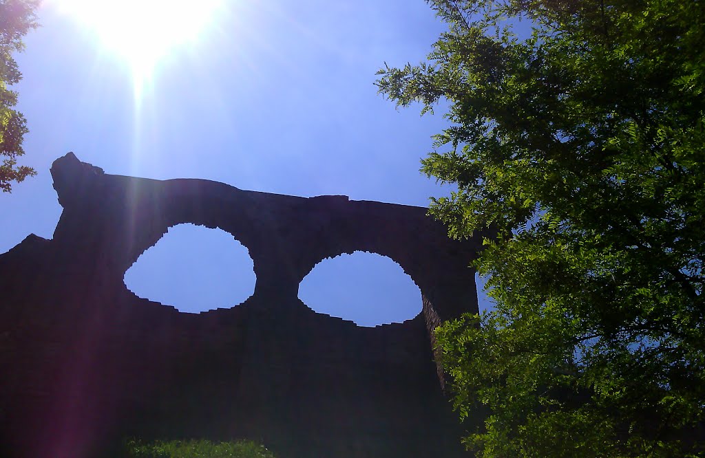 Gli occhi della civetta,rocca di Cesena by Alioscia Casadei