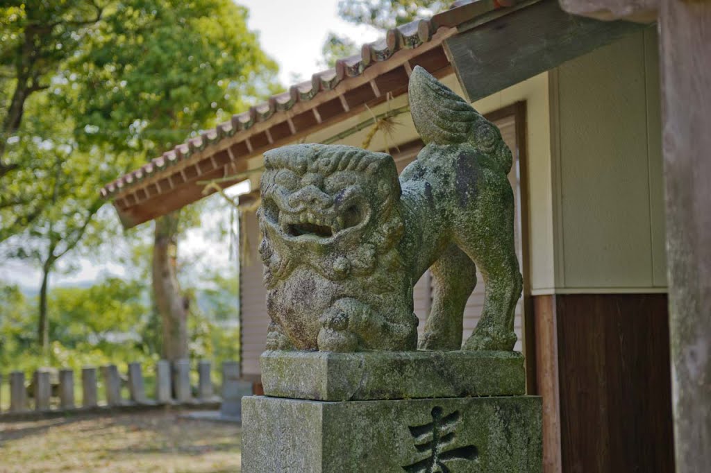 稲築八幡宮 by 石津安信