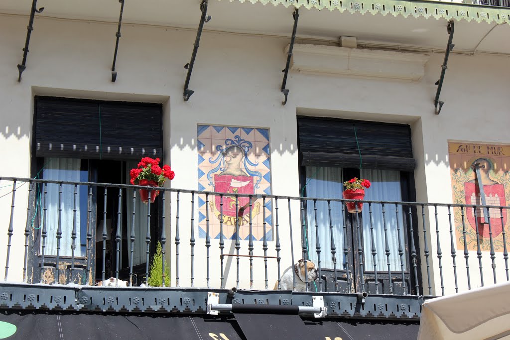 TUDELA (NAVARRA) BALCONADA EN LA PLAZA DE LOS FUEROS DE TUDELA by JOSE LUIS OROÑEZ