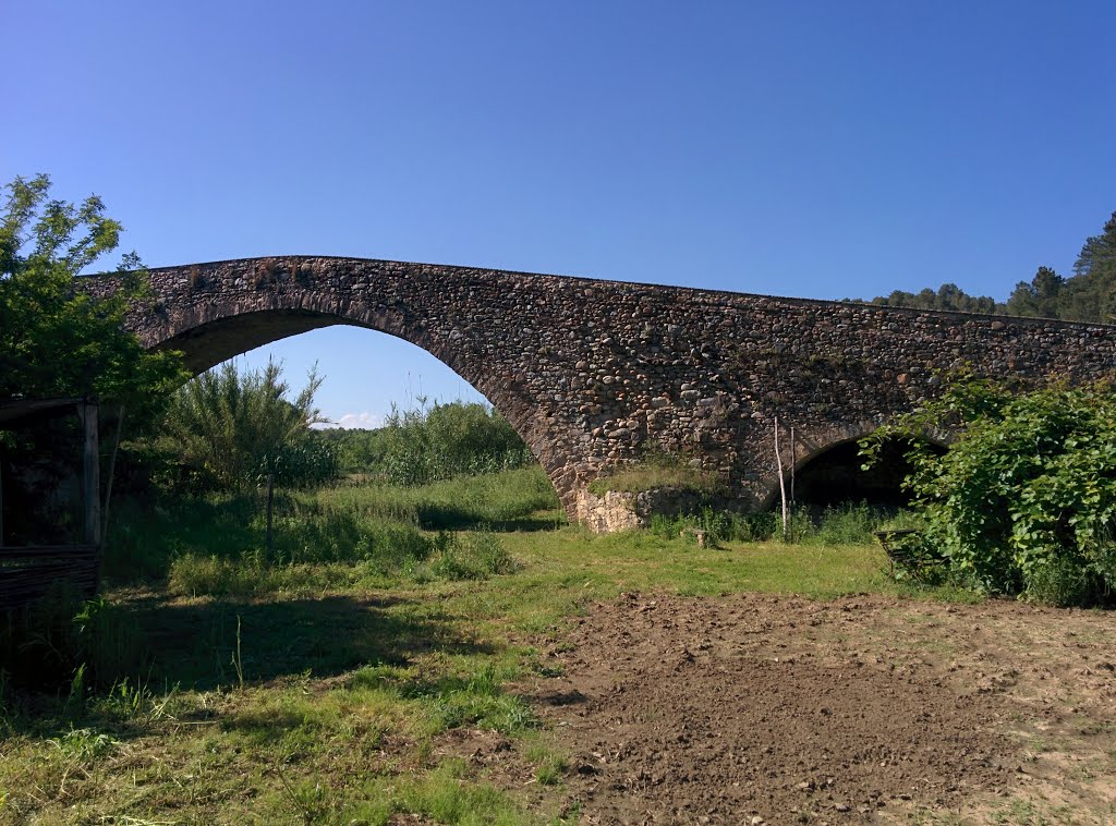 Pont Vell o pont romànic de Sant Julià del Llor by Josep Maria Viñolas …