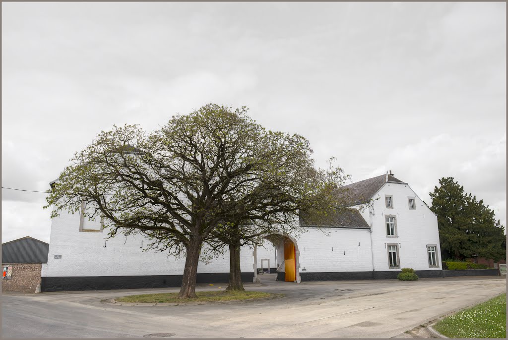 Awans, Belgium by Henri Van Ham