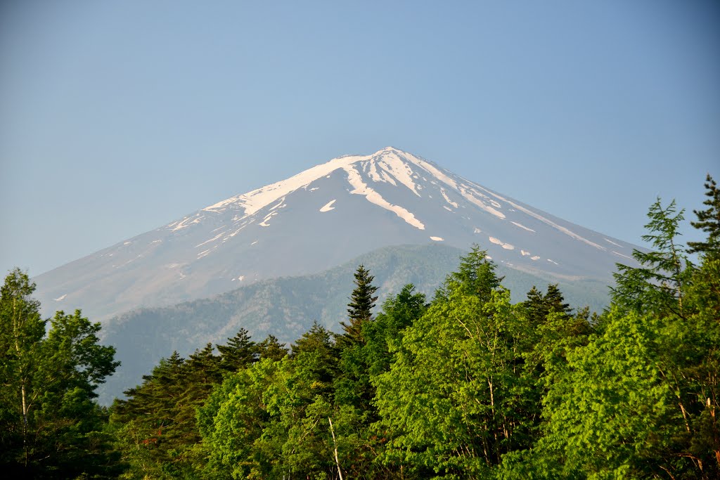 スバルライン一合目からの富士山 by tmtmamn