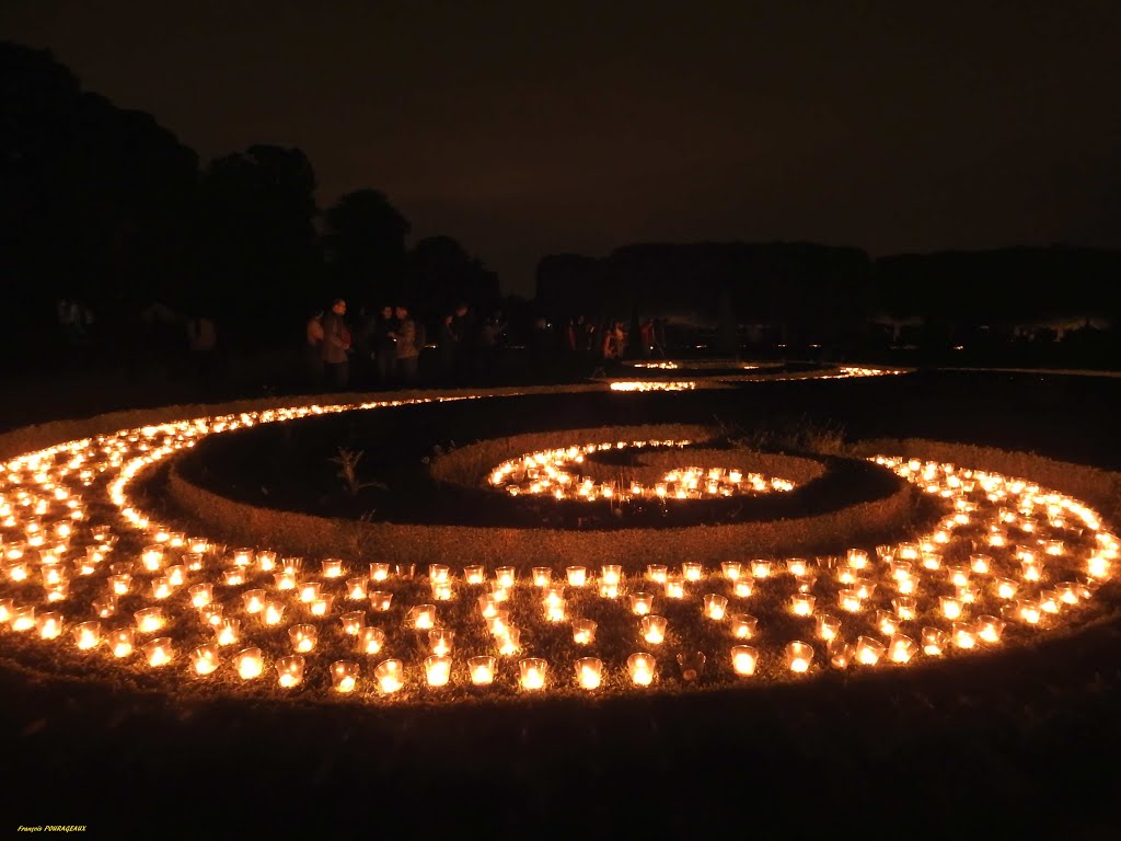 Illuminations dans le parc du Chateau de Champs sur Marne, 2016 05 21 by francois pourageaux