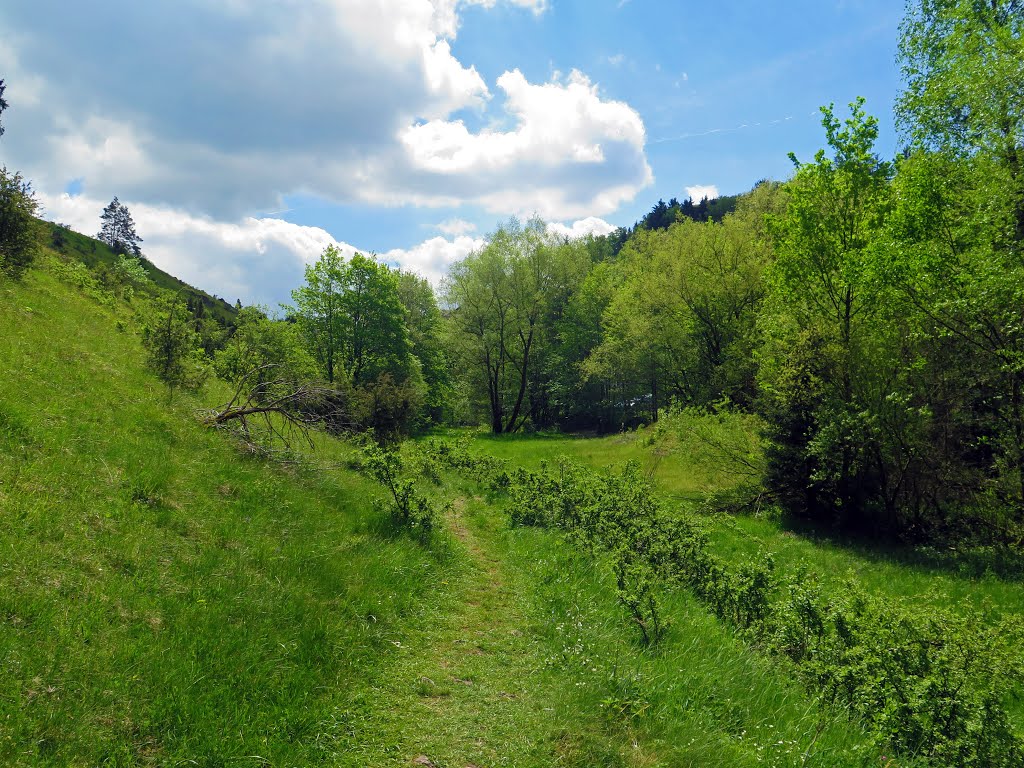 Wanderweg am Rand der Wacholderhänge bei Kleinziegenfeld by Stephan van Helden