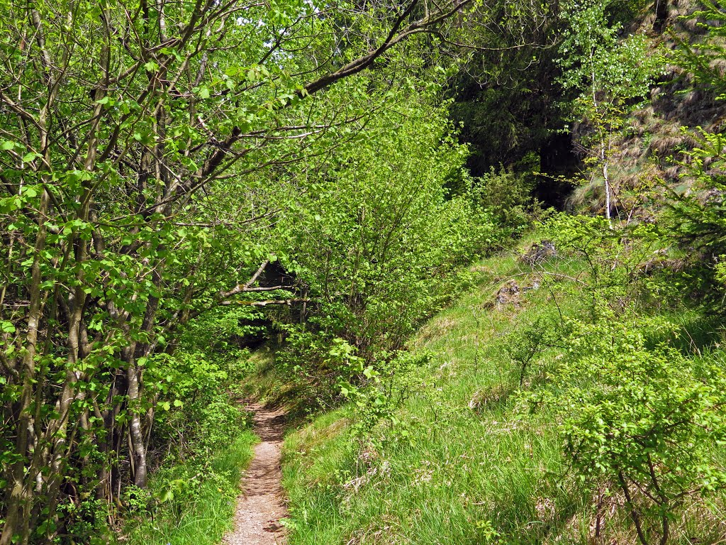 Wanderweg am Rand der Wacholderhänge bei Kleinziegenfeld by Stephan van Helden