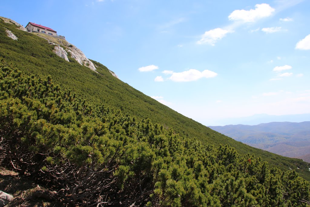 Na poti proti Snežniku by Prešeren 1