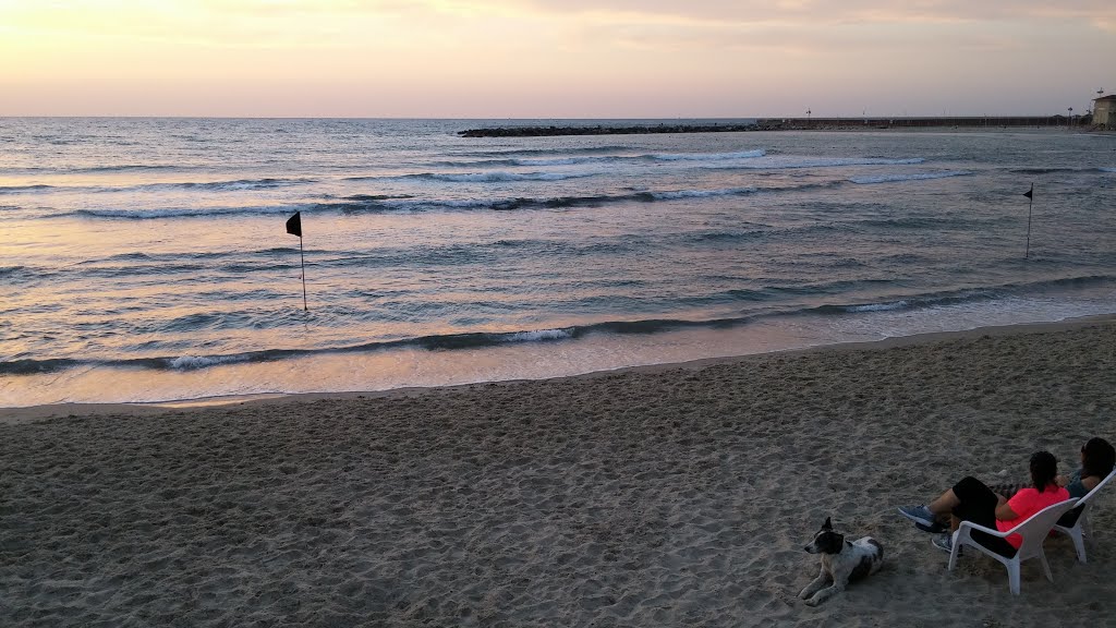 Tel Aviv-Yafo, Israel by Alexander Rivman