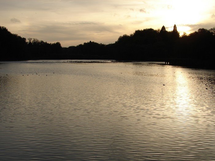 Etang du "gris moulin" by Ostermann Eric