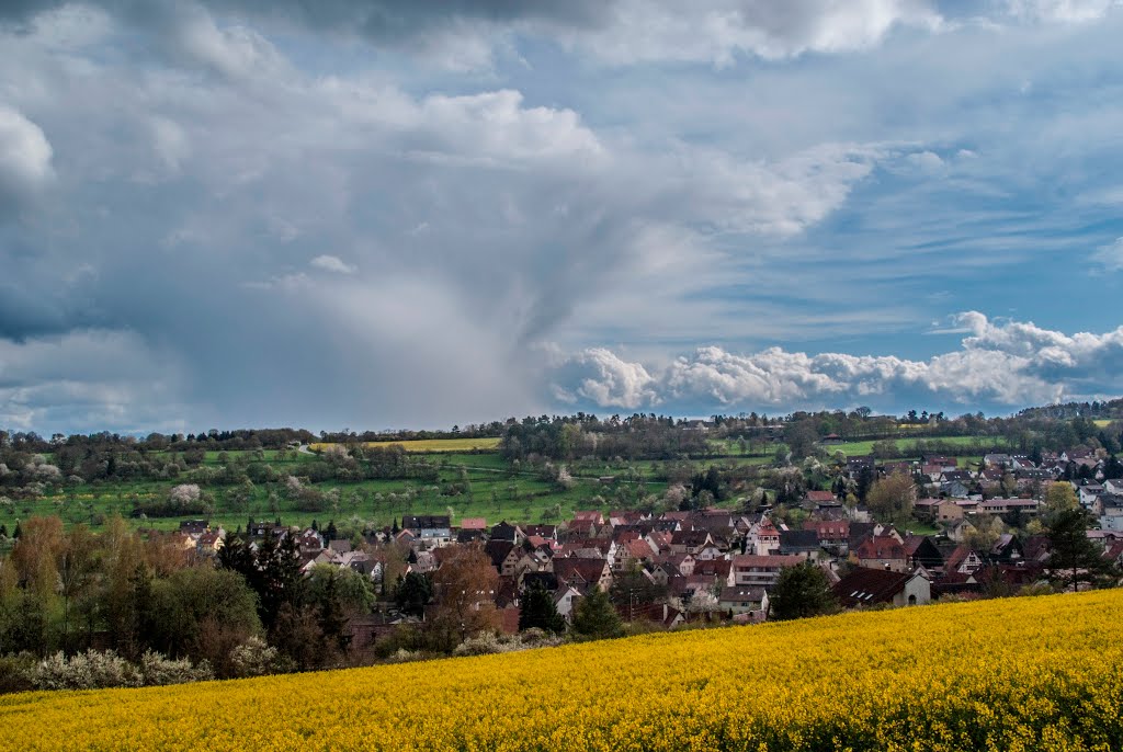 Blick nach Ostelsheim by Rene Weise