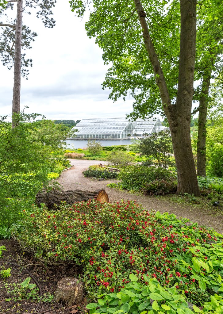 RHS Gardens Wisley by V V Sai Prashant Vaj…