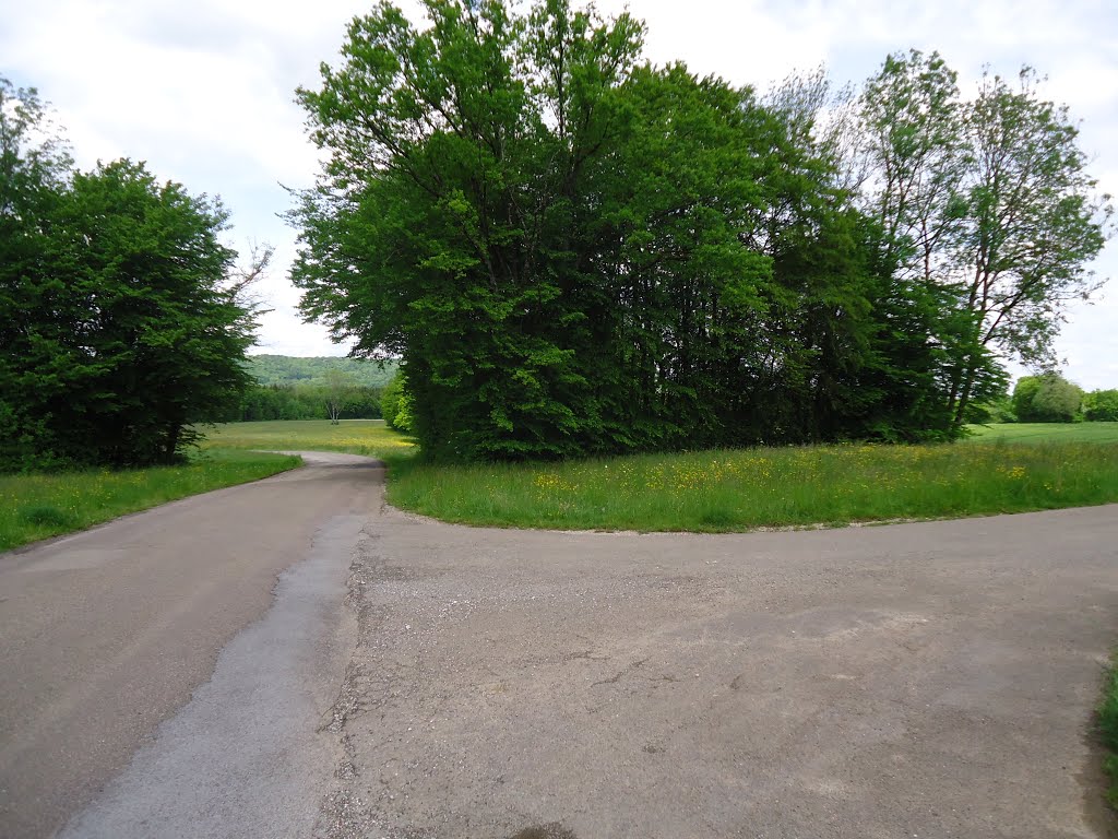 Intersection sur la combe Violot au SO d'Anteuil by Claudius B.