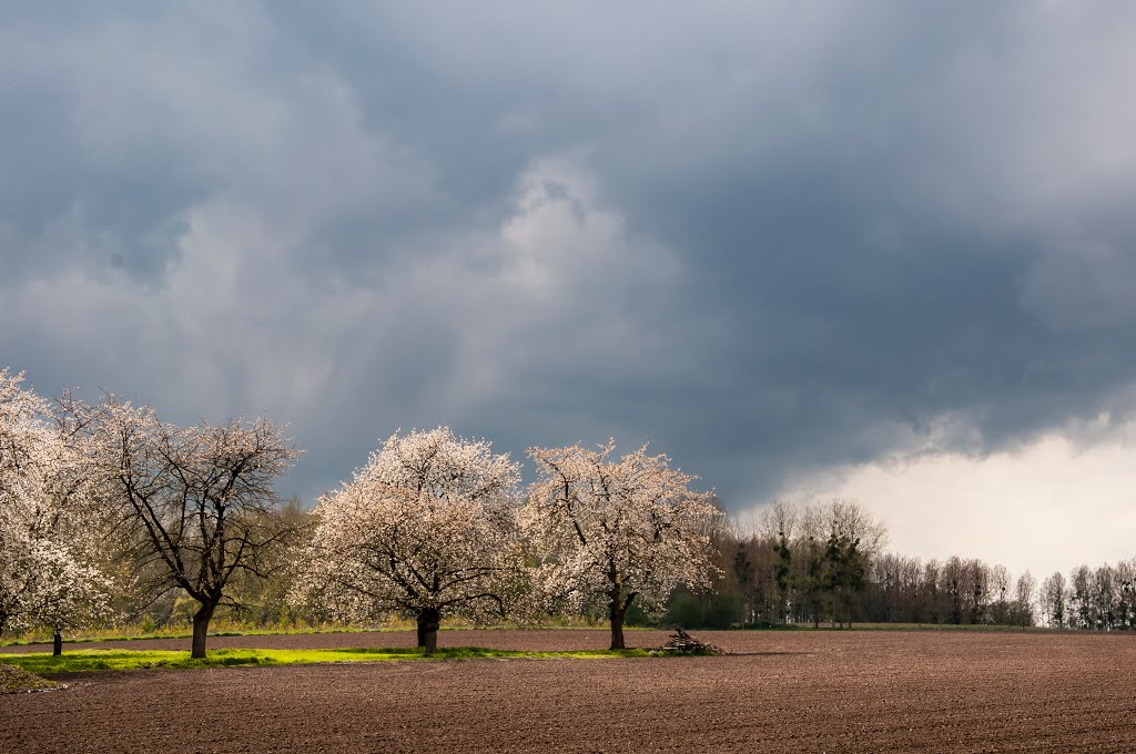 3840 Borgloon, Belgium by Jeansev