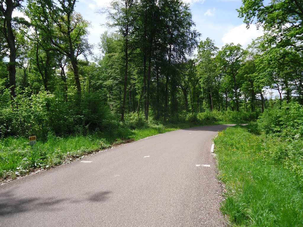 Km21 sur la D36 dans Champ Belot au SSO d'Anteuil by Claudius B.