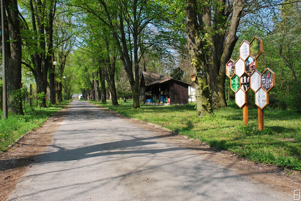 Múzeum včelárstva na Slovensku, Kráľová pri Senci by Filip Jurovatý