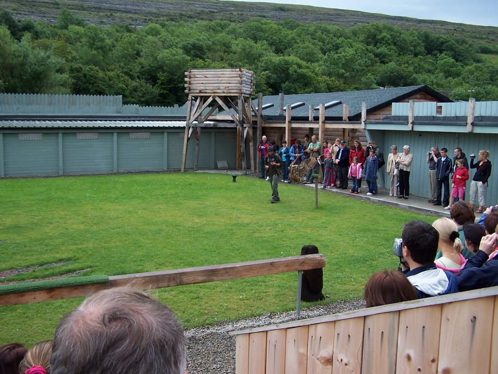 Burren Bird of Prey Centre (2008) by Color Bright