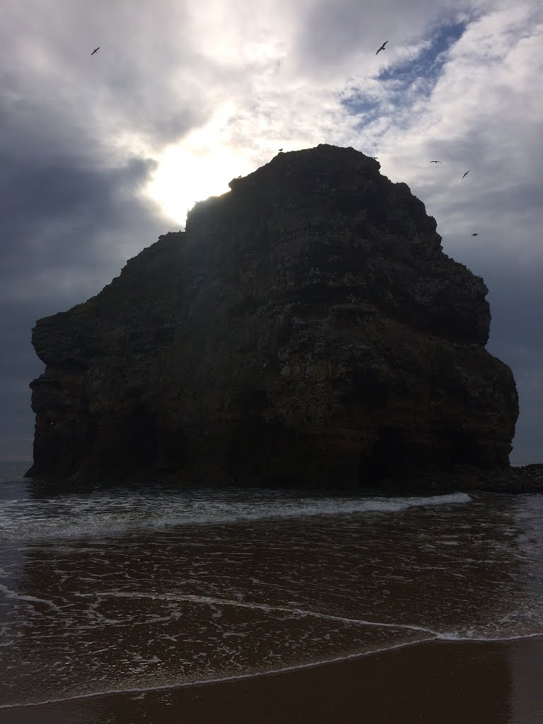 South Shields, UK by wilfawcett