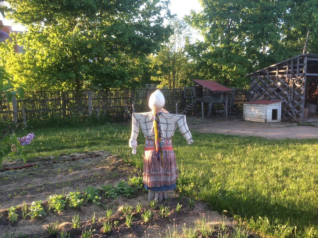 The garden near the old windmill of Siauliai city by Aurimas Nausėda