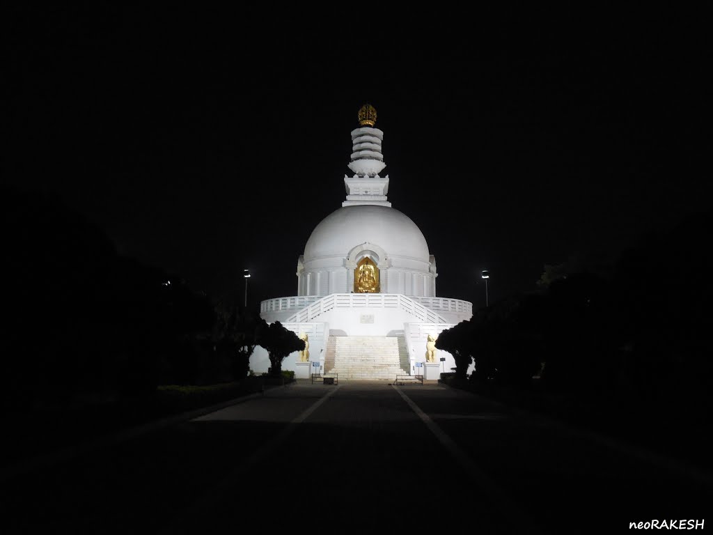 Vishwa Shanti Stupa - 40m view (night sequence) by rakesh sinha