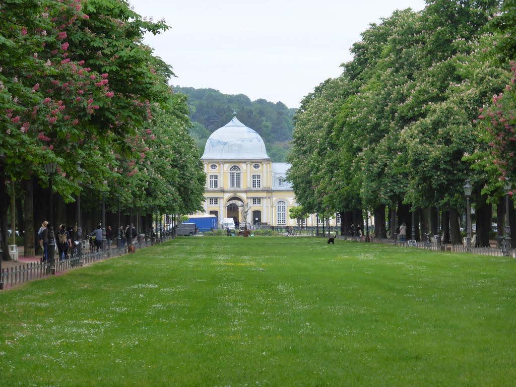 Weststadt, Bonn, Germany by Hausmaus