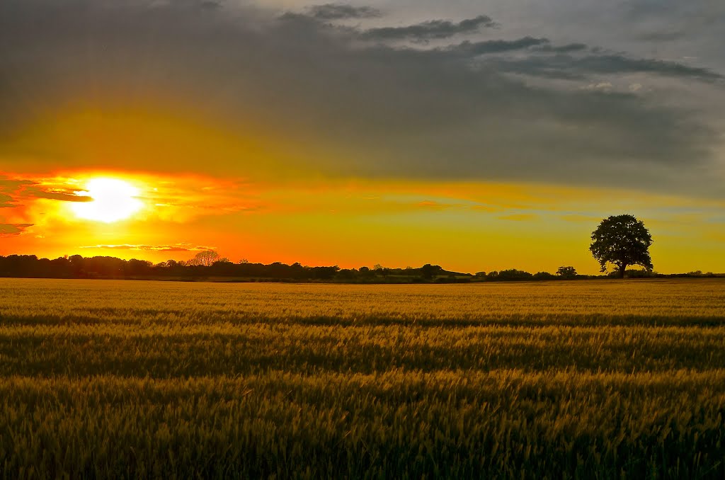 Gnosall sunset by Shaun Jones