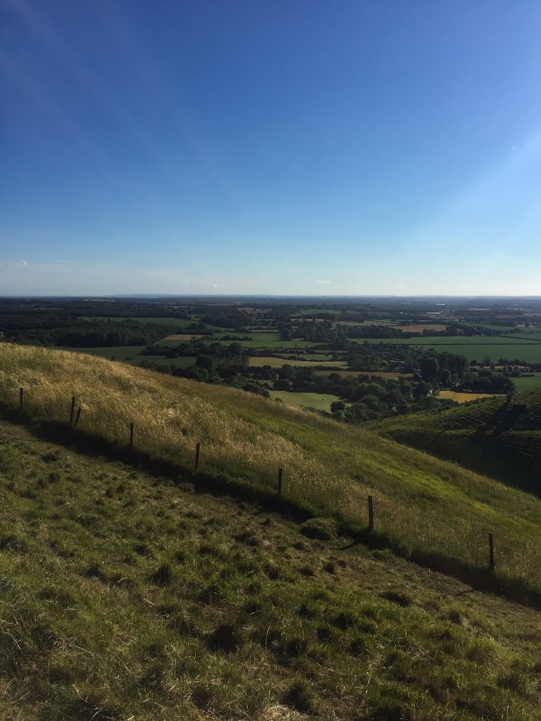 View at the Devil’s Kneading Trough, Wye, Kent by Richard Wiley