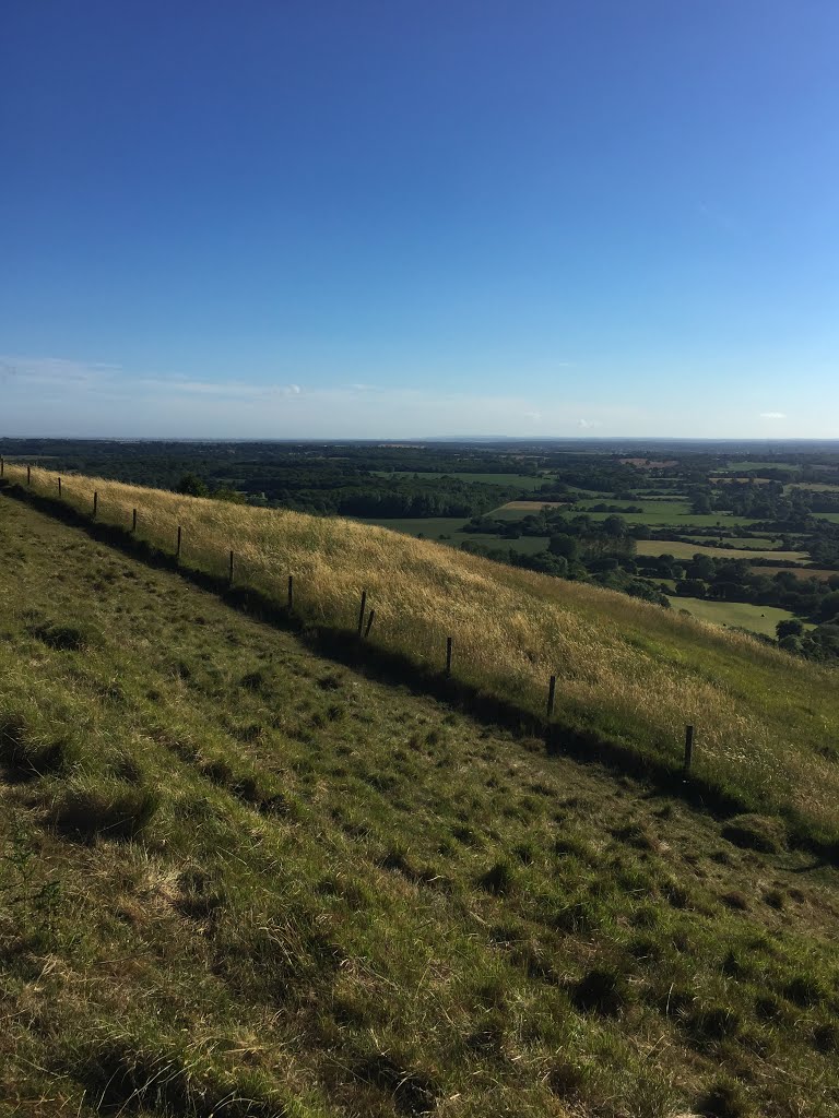 View at the Devil’s Kneading Trough, Wye, Kent by Richard Wiley