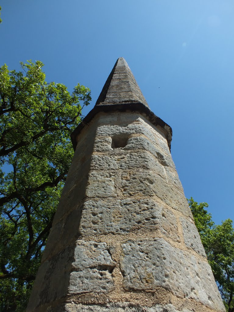 Aiguille de Lissac à Figeac (Nayrac) by Yann LESELLIER