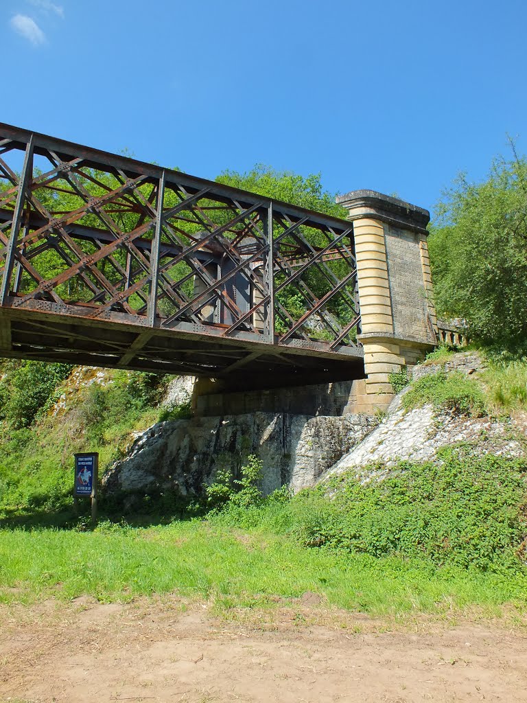 Pont ferroviaire sur le Lot (Rive Gauche) à Bouziès (Mas del Bosc) by Yann LESELLIER