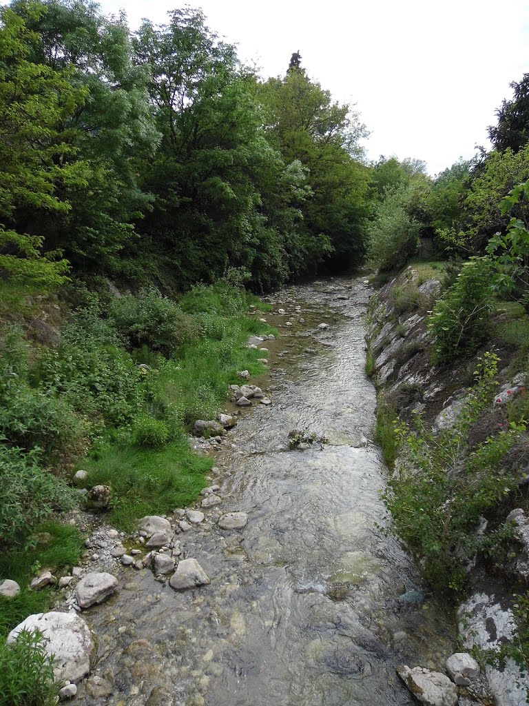 Torrente di Nave by Alberto Barcellari