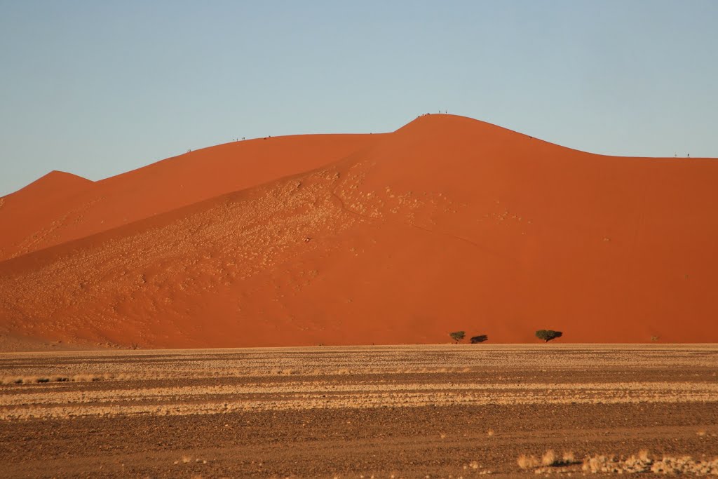 Namib-Naukluft National Park, Hardap, Namibia by Hans Sterkendries