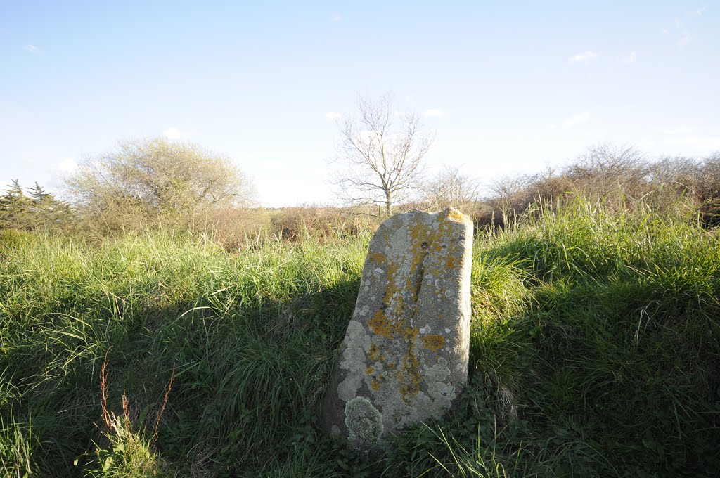 Menhir de Prajou, à proximité de l'allée couverte de Prajou à Trebeurden. Bretagne by Jean Louis Capdevill…