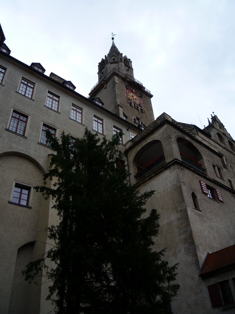 Schloss Sigmaringen by Jan Schillinger