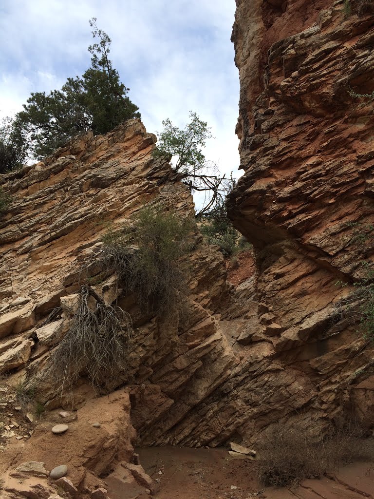 Cottonwood Wash Narrows by zachalan2012