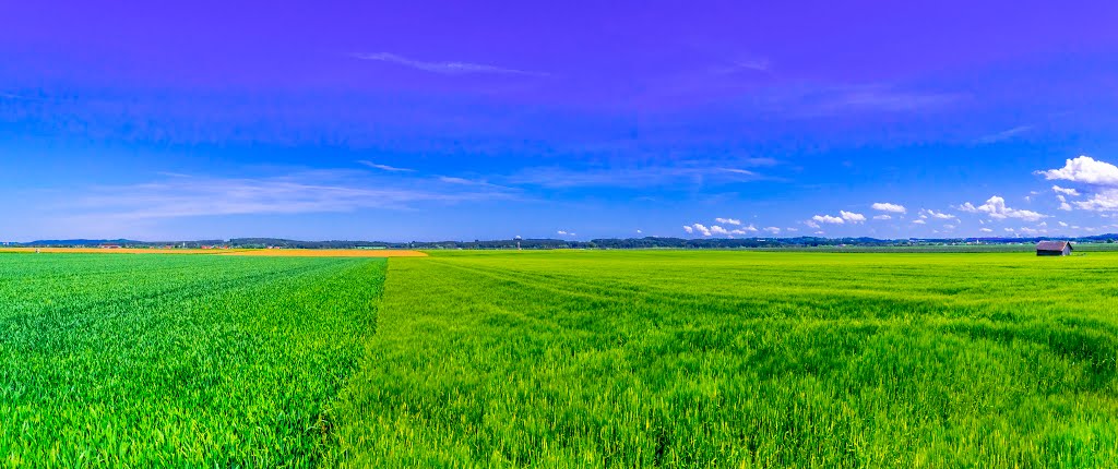 Memmingen airport Landscape by suite050