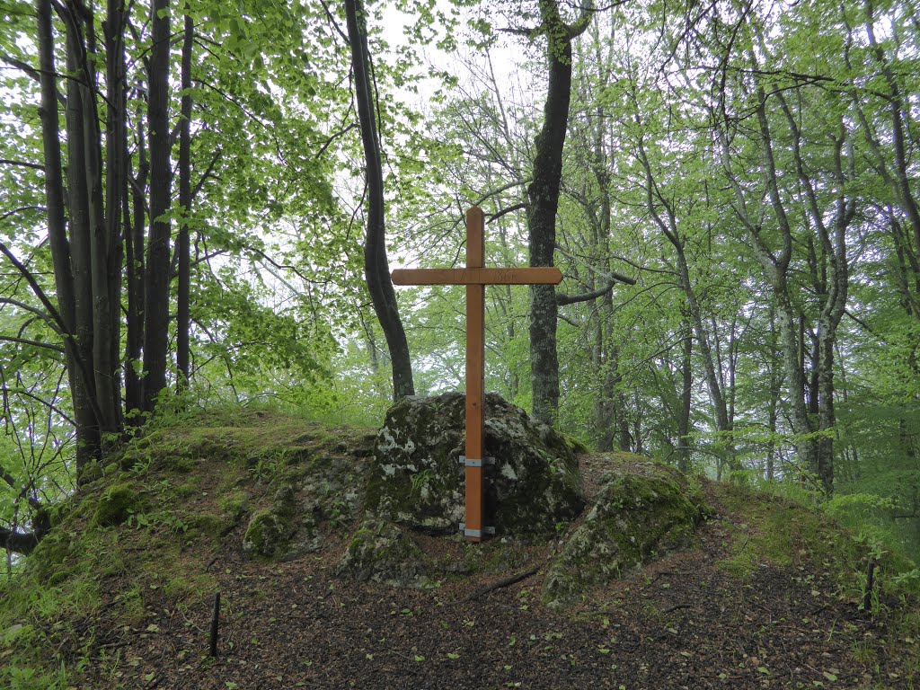 Gipfel vom St. Veiter Staff (Waldmarkweg) by Gerold Treitler